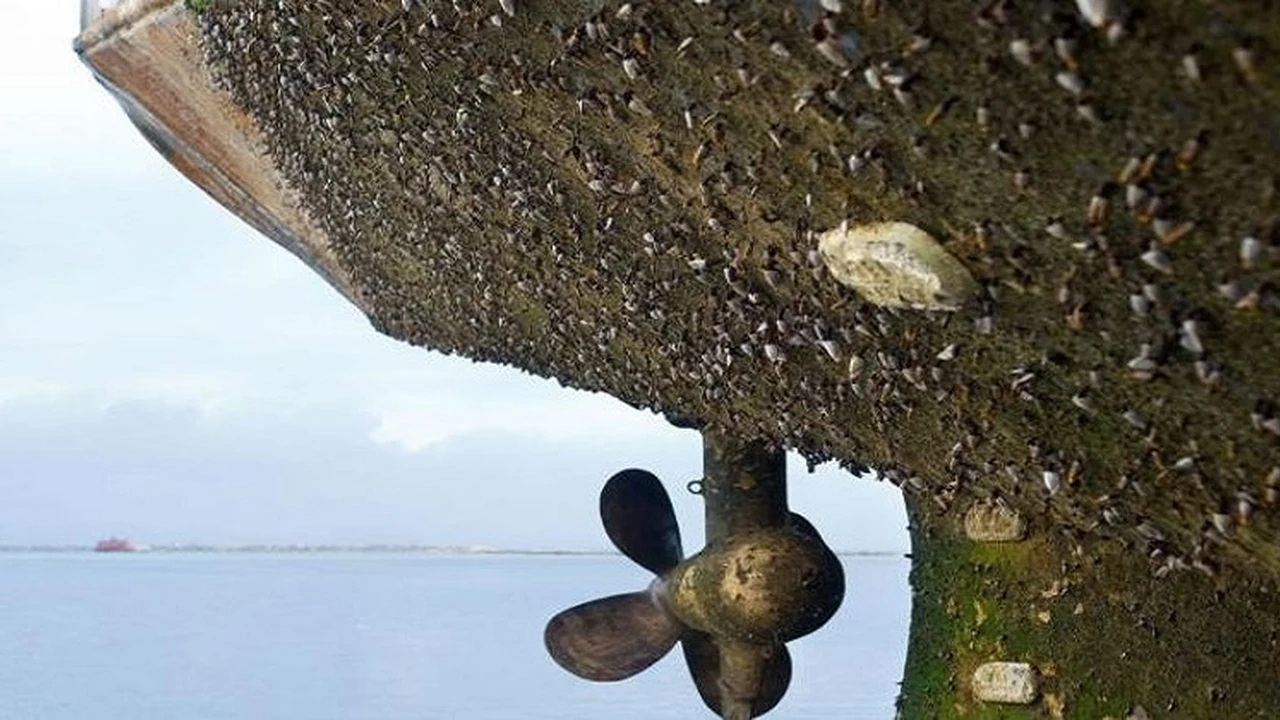 Écosystème marin en Méditerranée