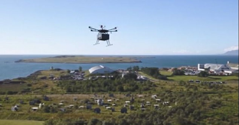 Flytrex