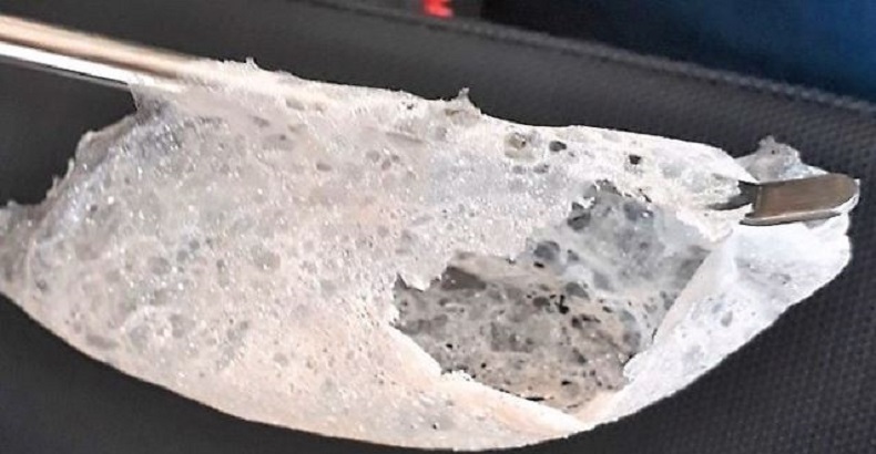 Le plastique israélien à base d'algues