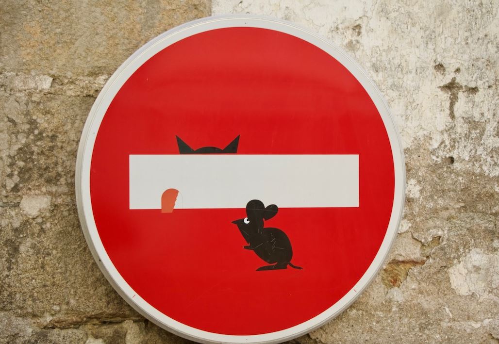 Sens interdit, le chat et la souris